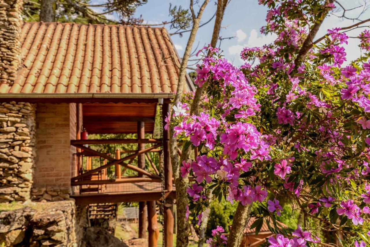 Chales Araucaria E Manaca São Bento do Sapucaí Exterior photo
