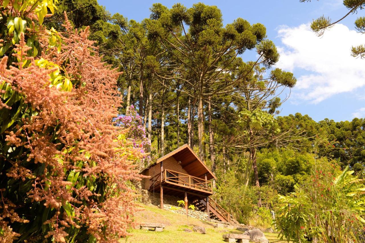 Chales Araucaria E Manaca São Bento do Sapucaí Exterior photo