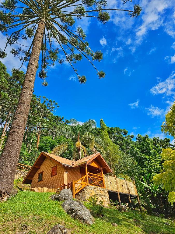 Chales Araucaria E Manaca São Bento do Sapucaí Exterior photo